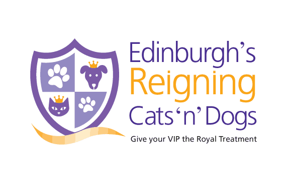 Moo Web Design Edinburgh Logo Design Edinburgh's Reigning Cats 'n' Dogs