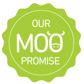 edinburgh website designers our moo promise badge
