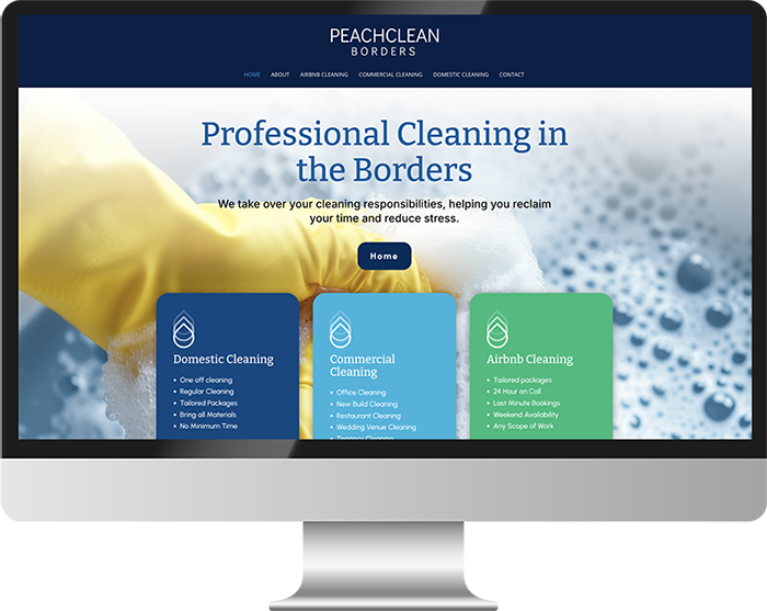 cleaning website